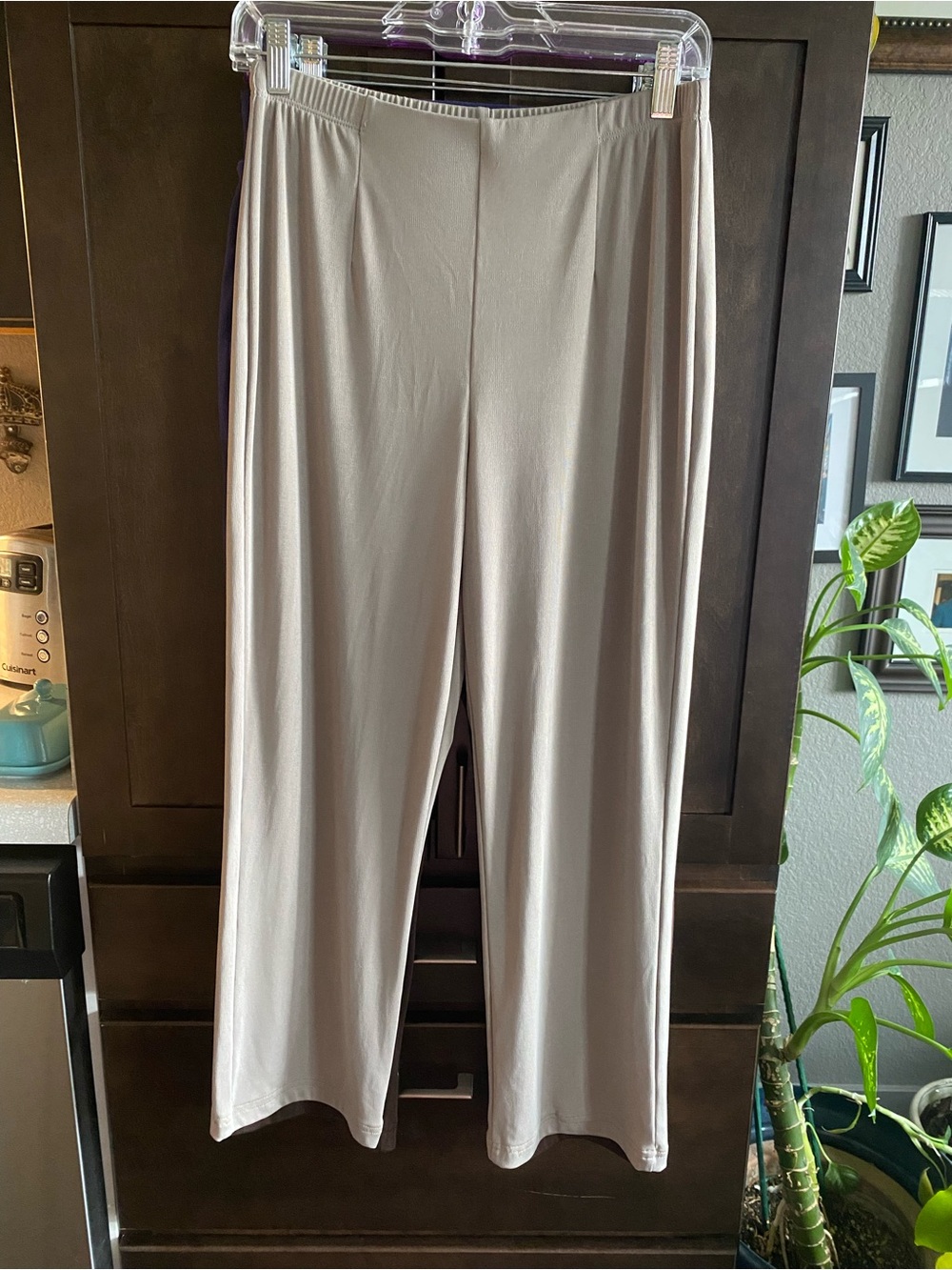 Chicos Easywear Jersey pants.  Chicos size 1S =women’s size 8/10.